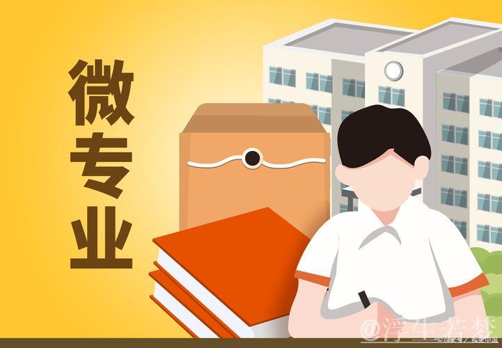 微专业助力就业多元化